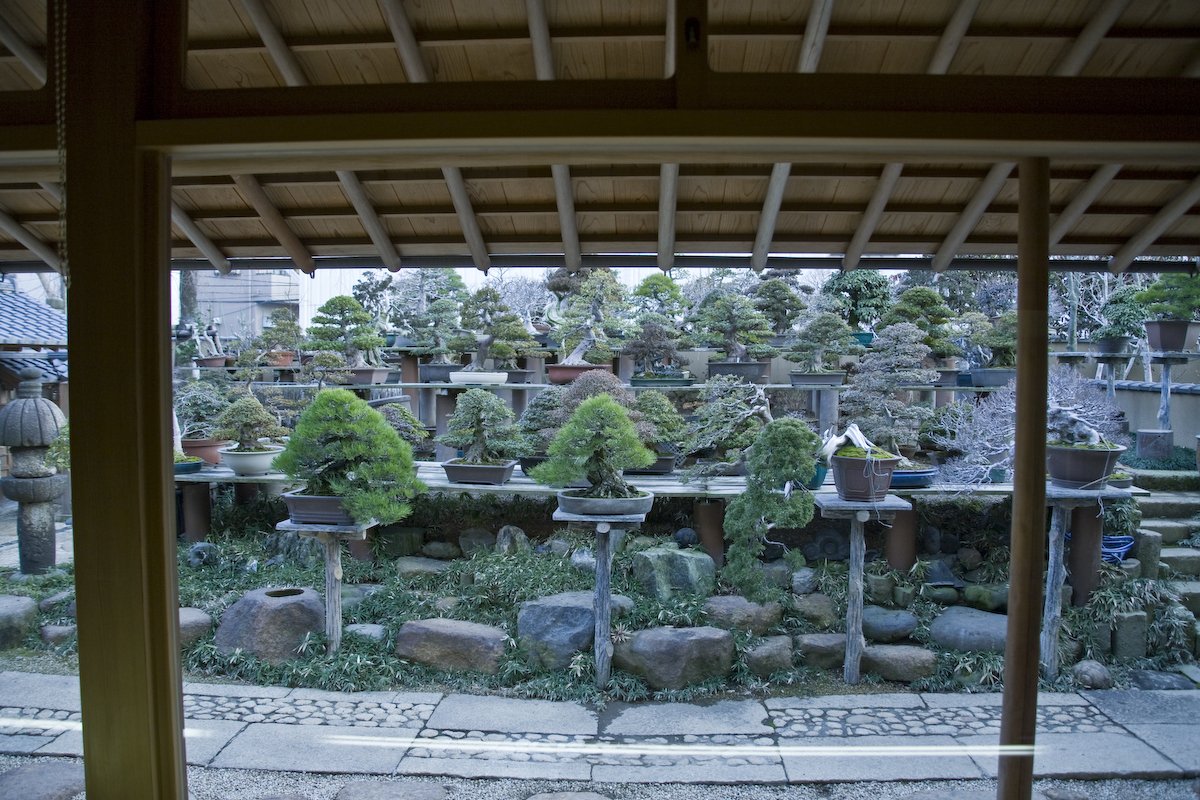 🎨 도야마현 수묵미술관(도야마켄스이보쿠비주쓰칸) 이미지 8